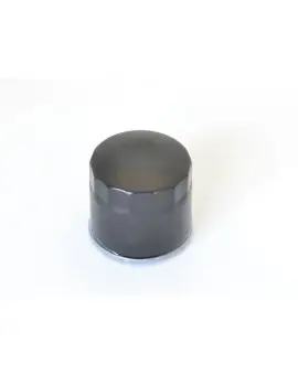 Filtro Olio avvitabi