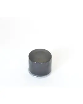 Filtro Olio avvitabi