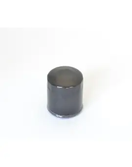 Filtro Olio avvitabi