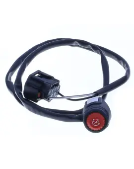 Tasto Kill Switch a