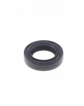Paraolio 10x16x4 mm