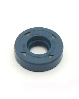 Paraolio con Esterno