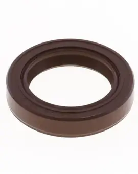 Paraolio con Esterno