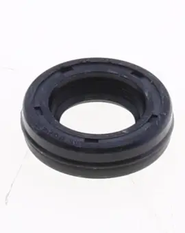Paraolio con Esterno