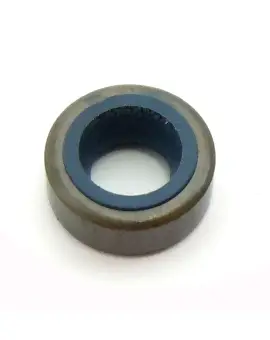 Paraolio con Esterno