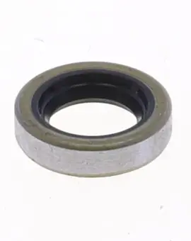 Paraolio con Esterno
