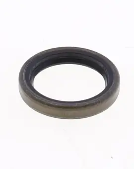 Paraolio con Esterno