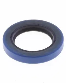 Paraolio con Esterno