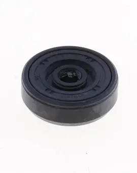 Paraolio con Esterno