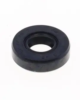Paraolio con Esterno