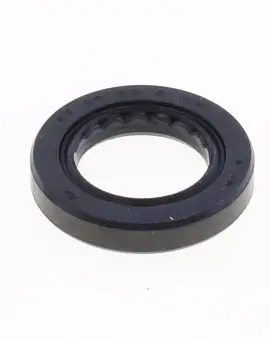 Paraolio con Esterno