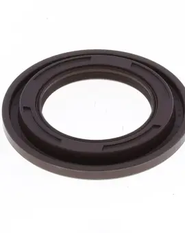 Paraolio con Esterno