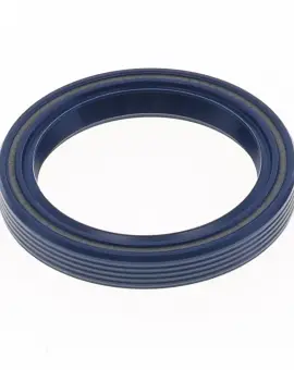 Paraolio con Esterno