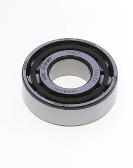 Bearing N204ECP - SK