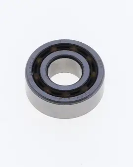 Bearing 4204 ATN9 -