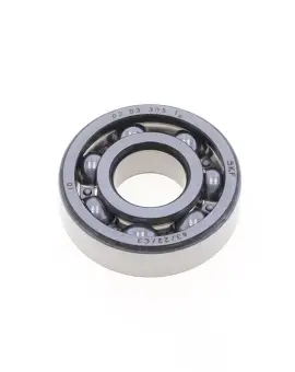 Bearing 63/22 C3 - S