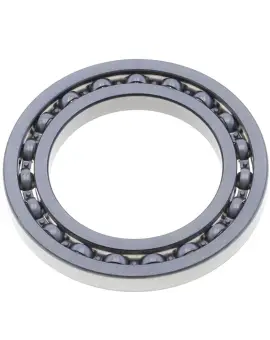 Cuscinetto 16013C3 -