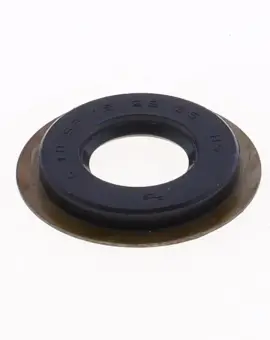Paraolio con Esterno