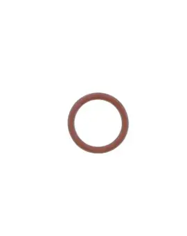 O-ring Testata Cilin