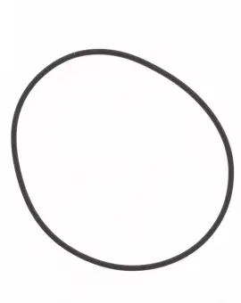 O-ring Testata Cilin