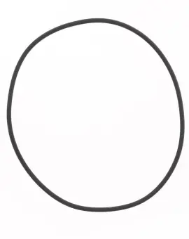O-ring Testata Cilin
