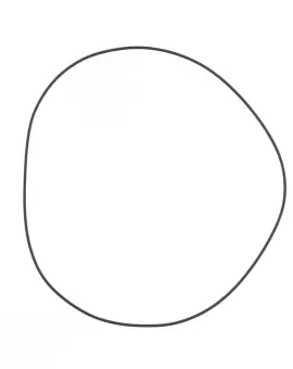 O-ring in NBR