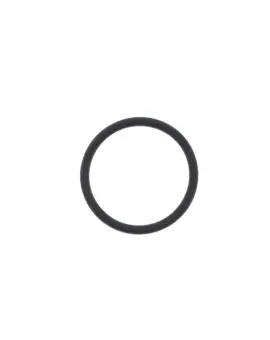 O-ring Aspirazione
