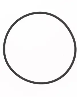 O-ring Testata Cilin