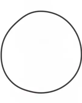 O-ring Testata Cilin