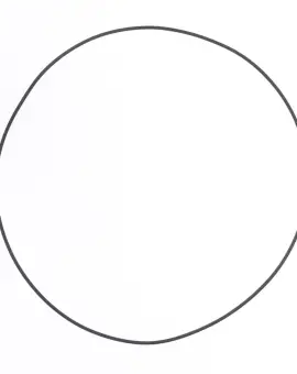 O-ring Lato Frizione