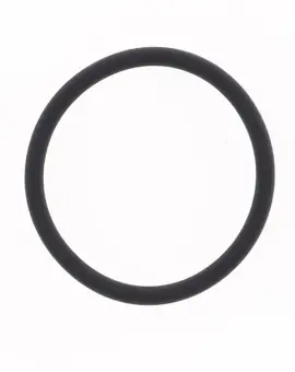 O-ring Scarico