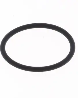 O-ring Scarico