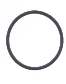 O-ring Scarico