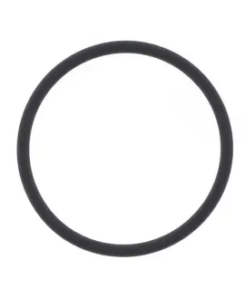 O-ring Scarico