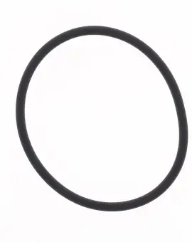 O-ring Scarico