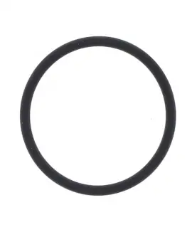 O-ring Scarico