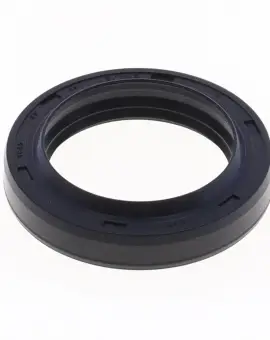 Paraolio forcella