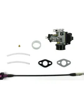 Combo Kit Carburator
