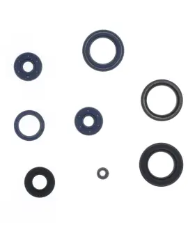 Serie Paraolio Motor