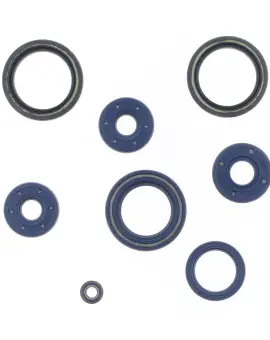 Serie Paraolio Motor