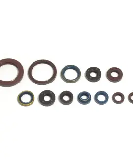 Serie Paraolio Motor