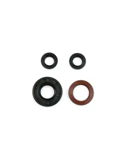 Serie Paraolio Motor
