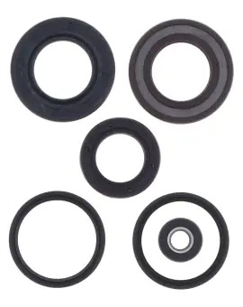 Serie Paraolio Motor
