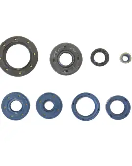 Serie Paraolio Motor
