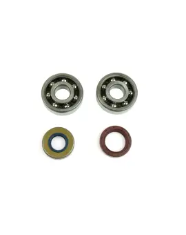 Kit Revisione Albero