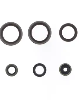 Serie Paraolio Motor