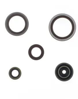 Serie Paraolio Motor