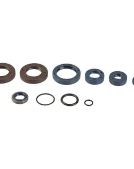 Serie Paraolio Motor