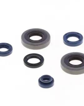 Serie Paraolio Motor