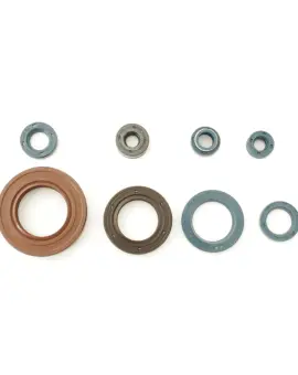 Serie Paraolio Motor